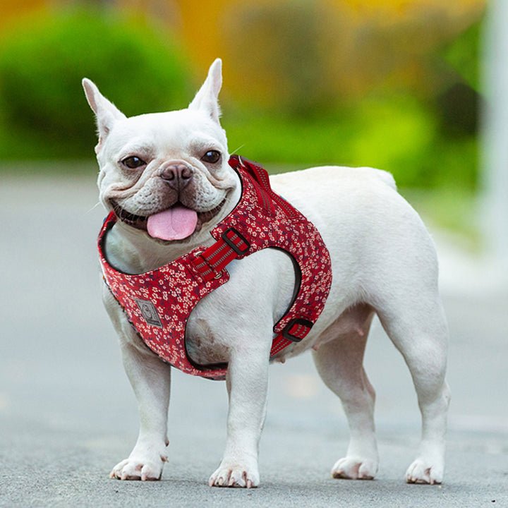 Floral Doggy Harness Red 3XS - Image 4