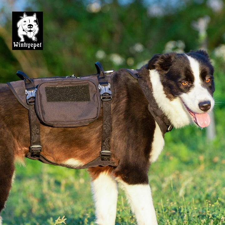Whinhyepet Military Harness Black XL - Image 3