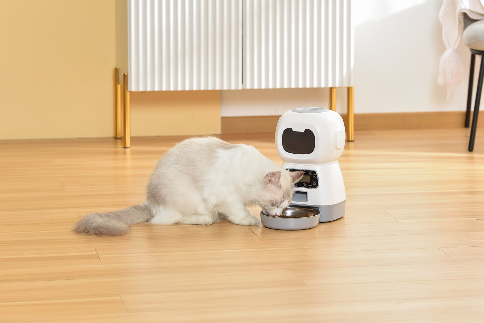 YES4PETS 3.5L Visible Automatic Digital Pet Dog Cat Feeder Food Bowl Dispenser - Image 7