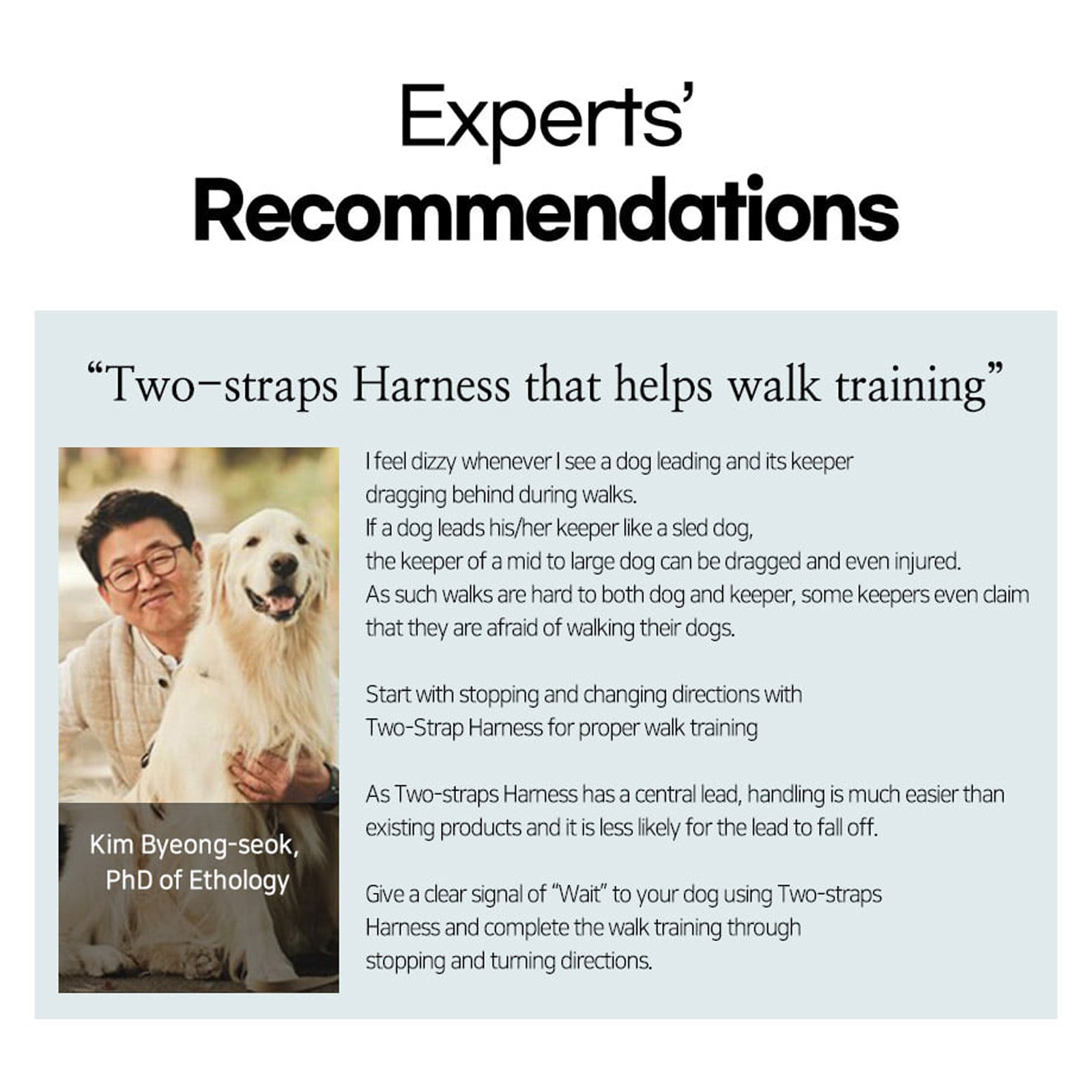 Dog Double-Lined Straps Harness Adjustable L SWEET GREEN - Image 9