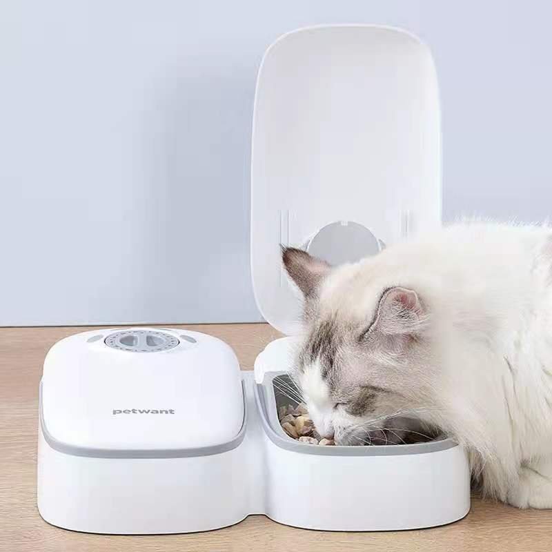 2 Meal Automatic Pet Food Feeder Timer for Dogs, Puppies & Cats - Image 6